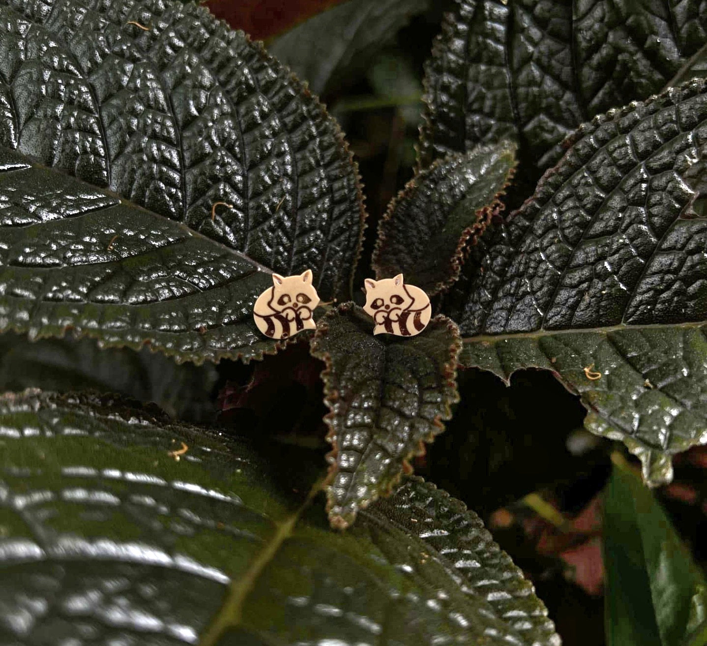 Coco Red Panda and Raccoon Earrings